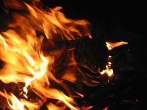 brænde og briketter hos kvalibrænde - din online forhandler af brændsel