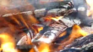 brug af brænde i sin grill - en ny og spændende måde at grille på